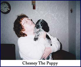 Chesney the Puppy