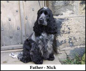 Father - Nick
