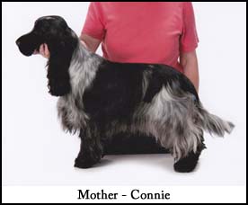 Mother - Connie