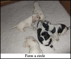 Form a circle
