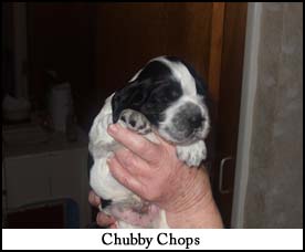 Chubby Chops